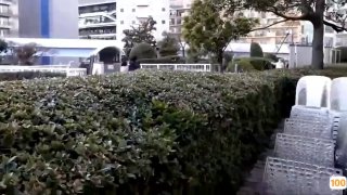 无套插白嫩妹子咪咪都是粉的，鲍鱼也是干净粉嫩，女上位啪啪，长吊来回抽插第06集